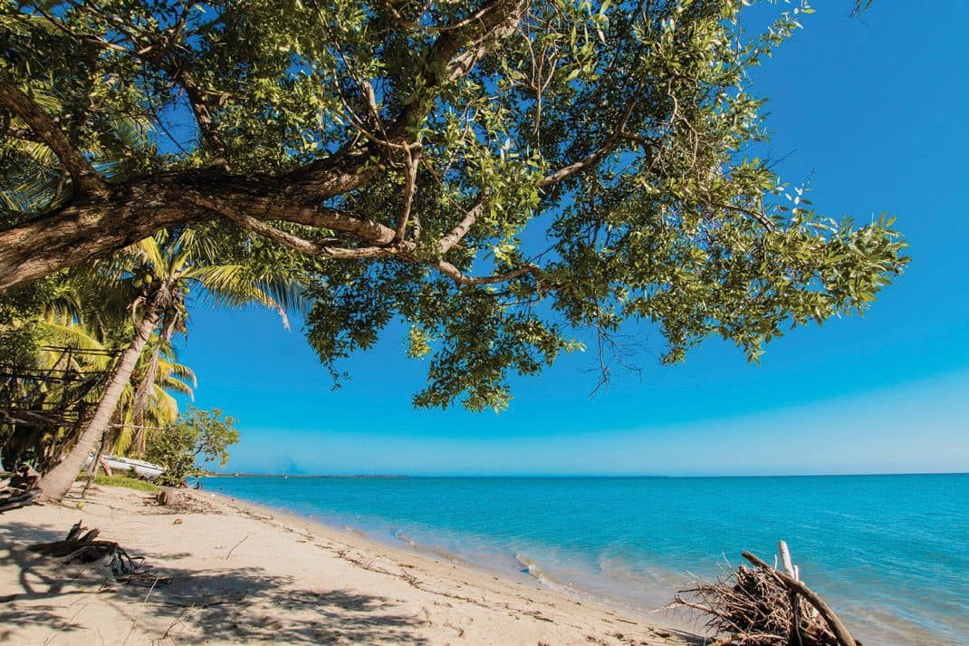 The Caribbean shoreline at the north end of Hopkins