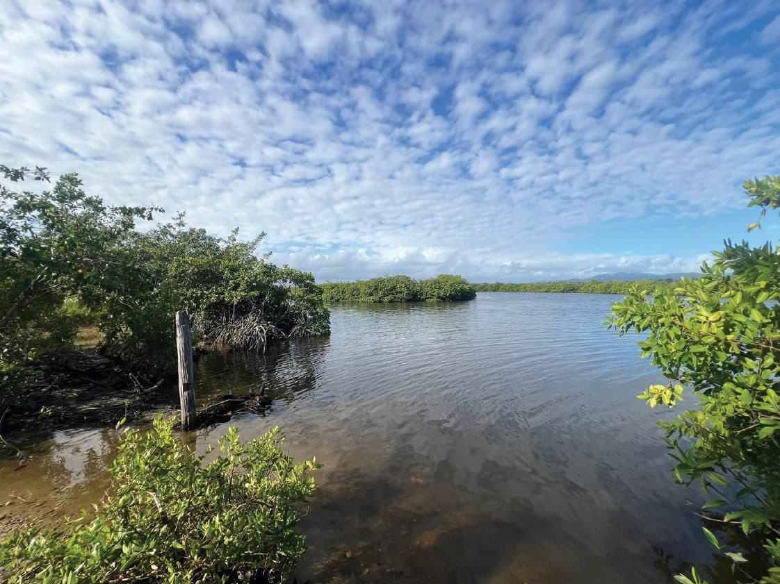 The river system at the north end of Hopkins, Belize, from the air